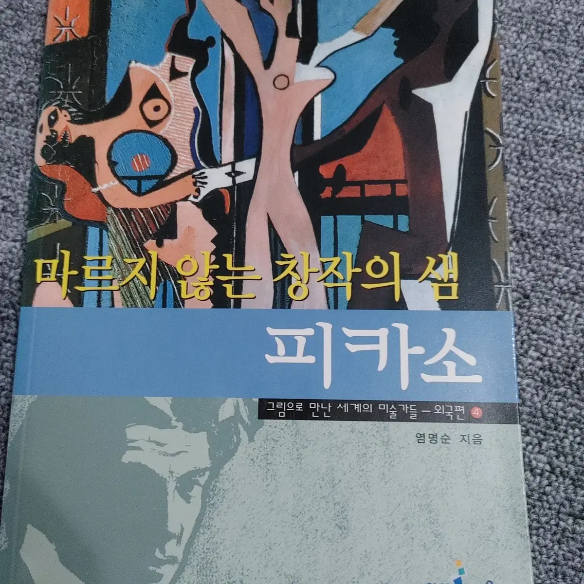 마르지 않는 창작의 샘 피카소 예술 문화 인물 도서 책