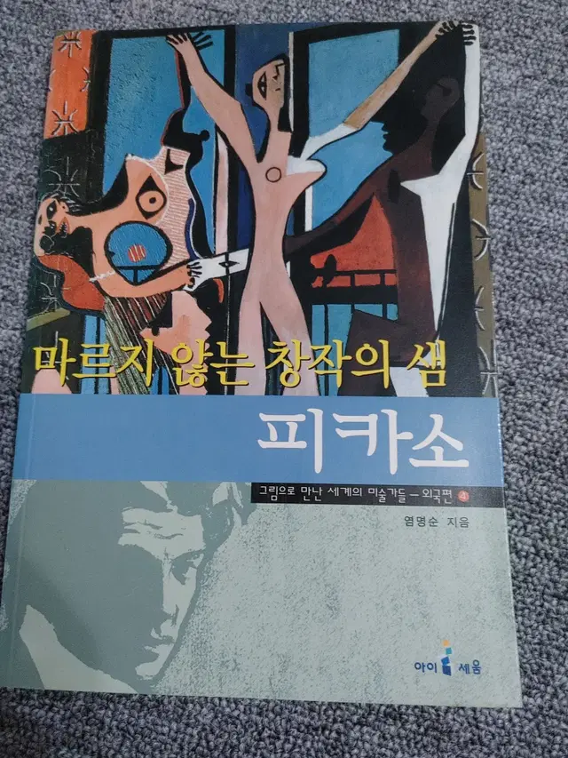 마르지 않는 창작의 샘 피카소 예술 문화 인물 도서 책