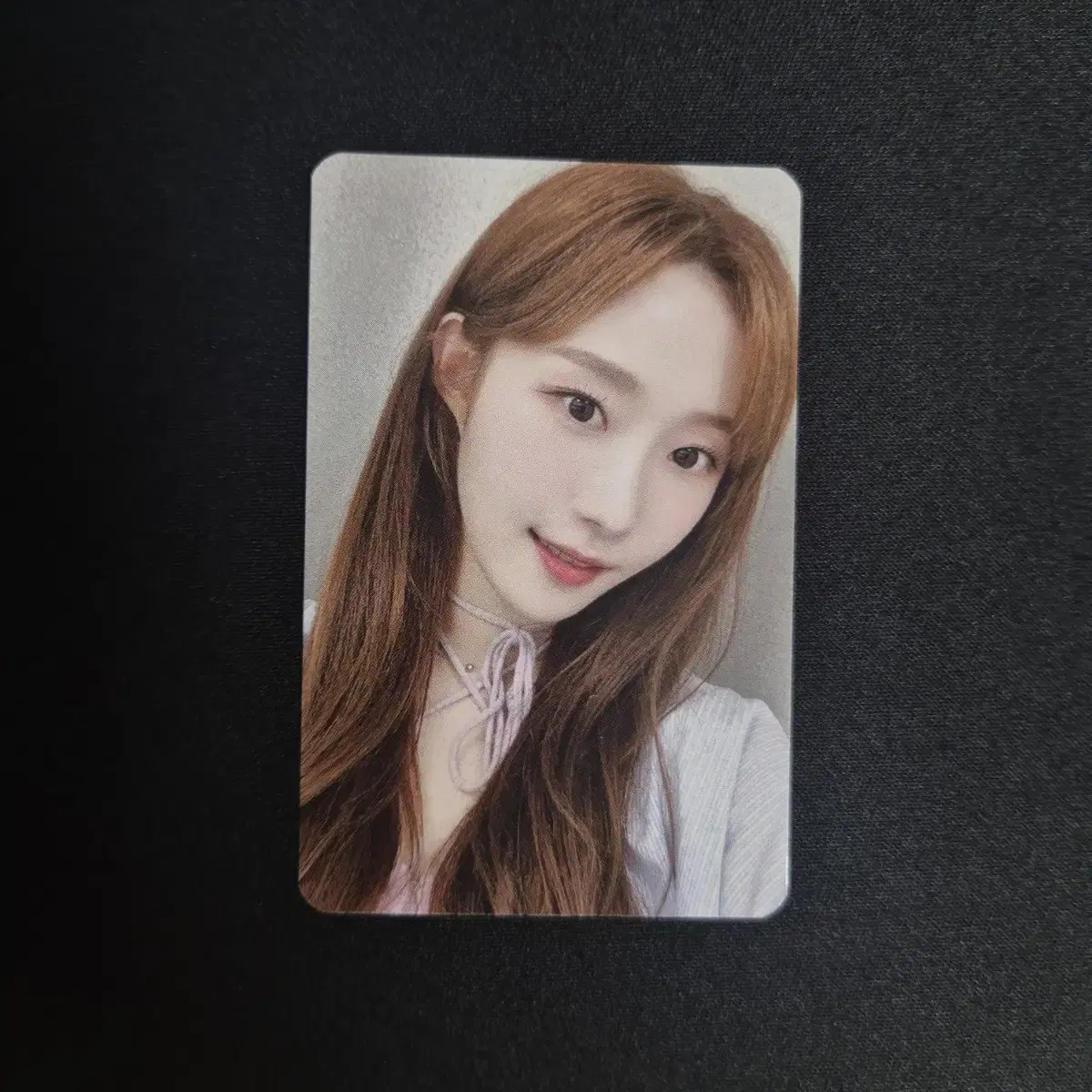 Cignature chaesol everline unreleased photocard photocard Greetings, Young Tong