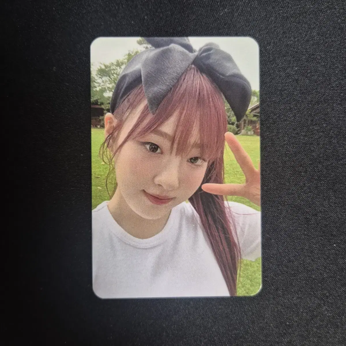 Cignature chloe everline unreleased photocard photocard offline hanni