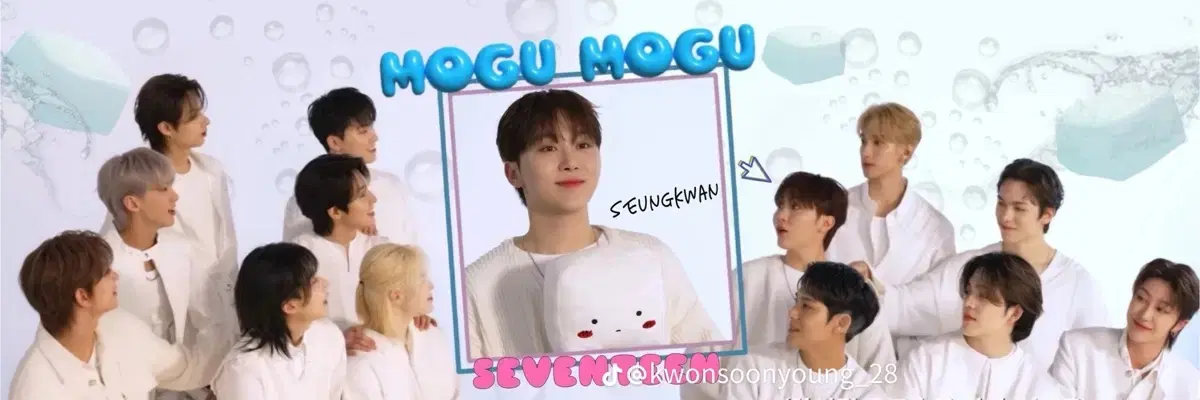 Seventeen seungkwan bulk WTS