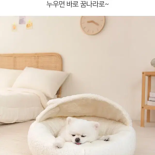 반려견 방석