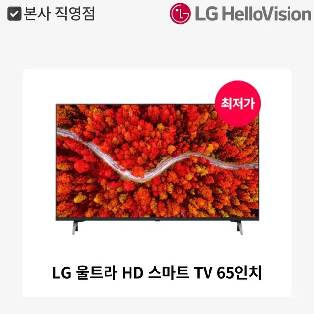 [월 20,900원]LG 울트라 HD 스마트 TV 65인치