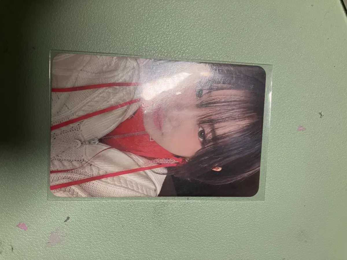 Offertorecords Alpo YujinPhotocard