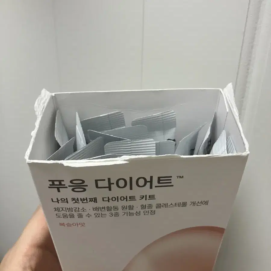 푸응다이어트