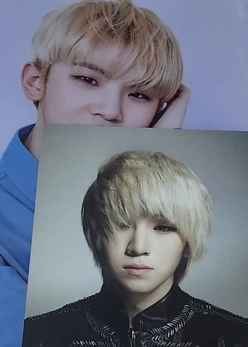 Woozi Photocard/L Postcard Set