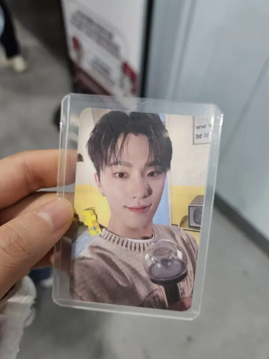 2024 carrot zone dino photocard poka