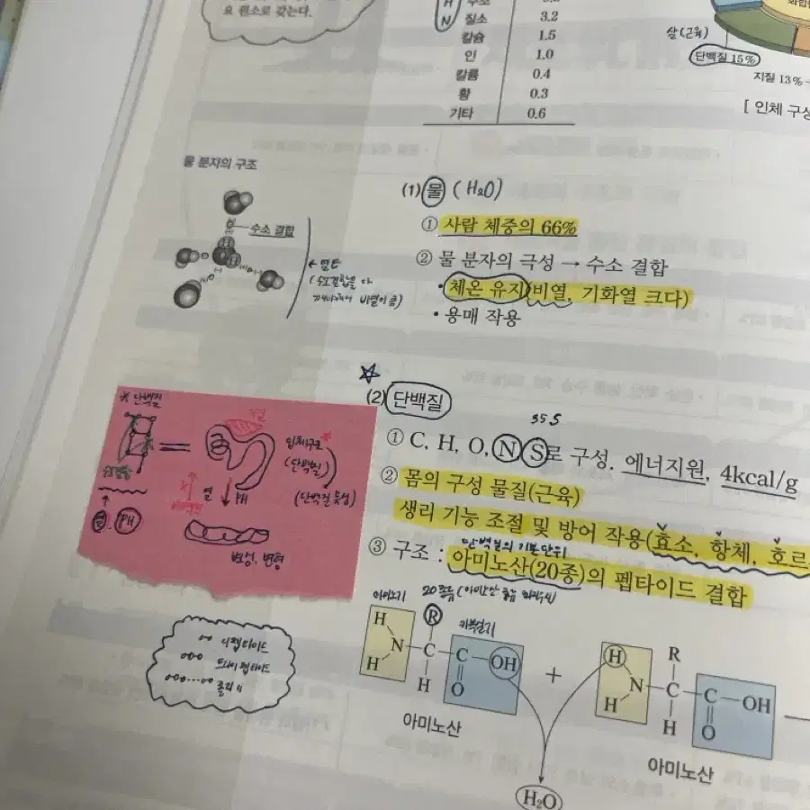 판매완료) 메가스터디 백호 생명과학2 교재