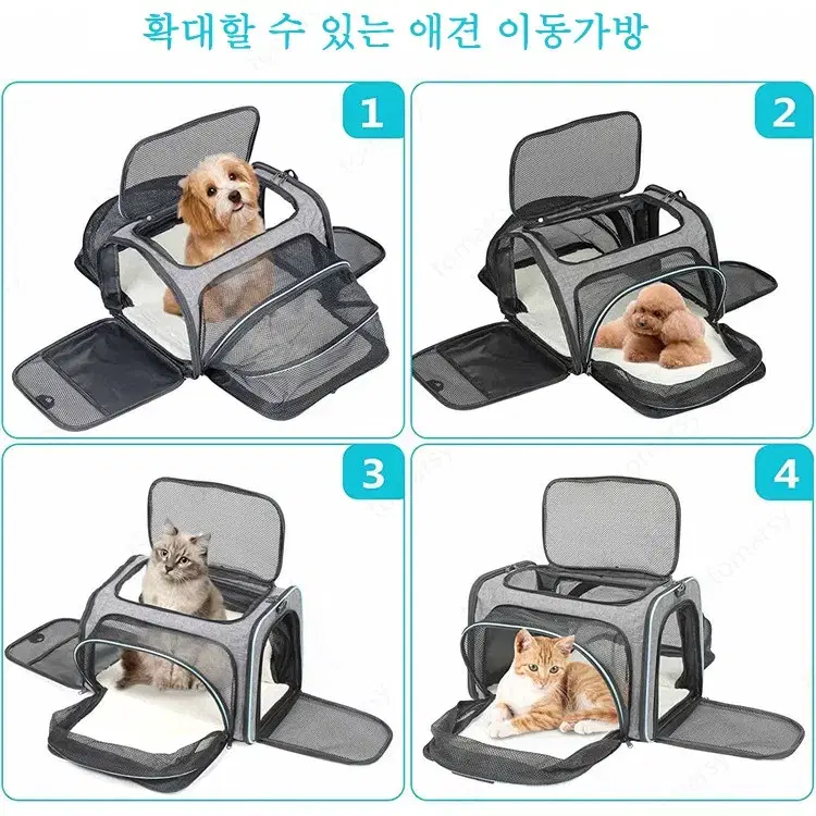 고양이 가방 외출 반려동물 가방 접이식 펫 백팩 통풍 고양이 백팩, 라지