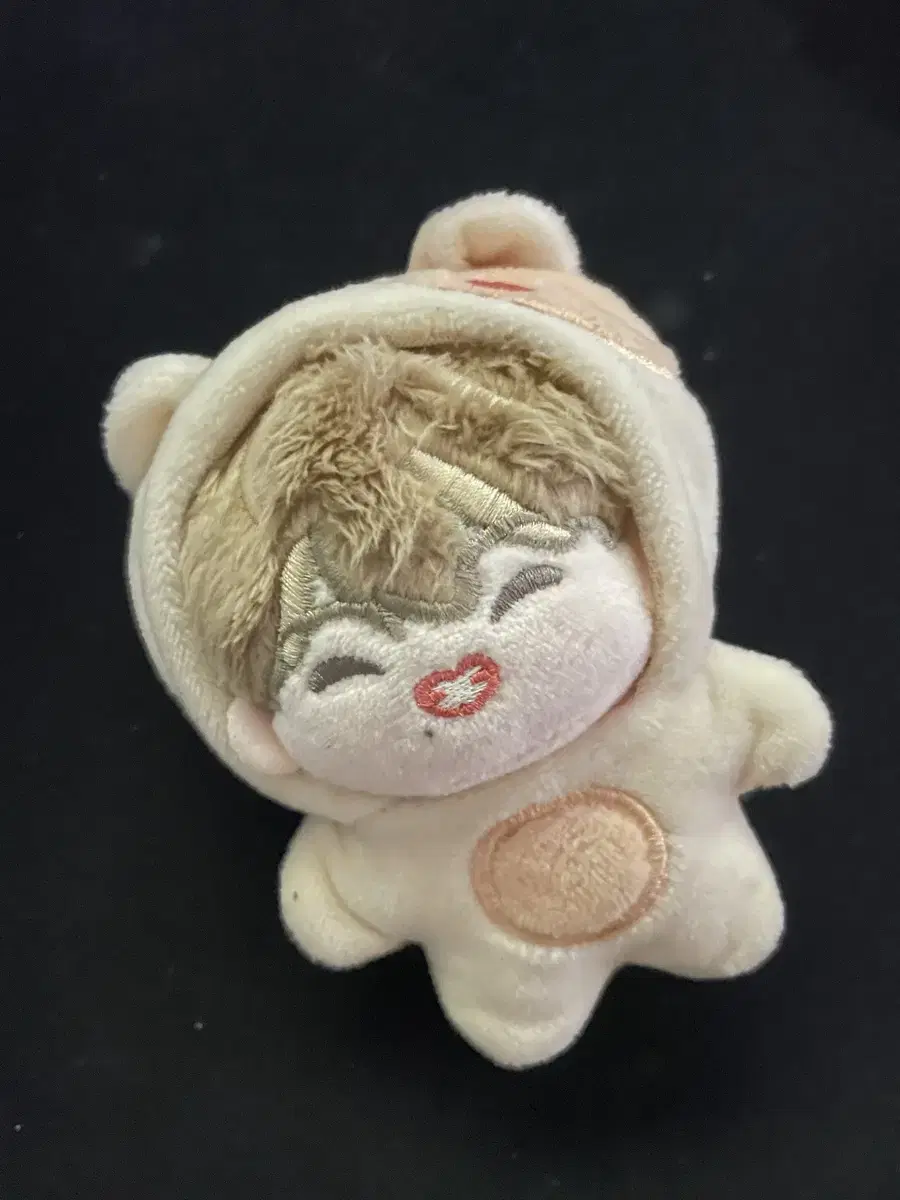 NCT jisung 10CM doll WTS