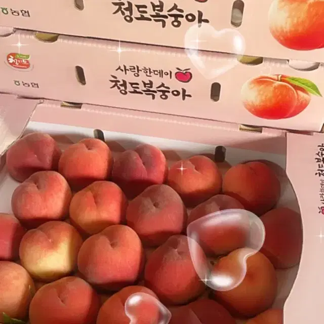 부모님이 직접 재배하신 청도복숭아 4kg 15000원 무료배송이벤트  과