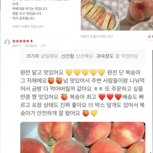 부모님이 직접 재배하신 청도복숭아 4kg 15000원 무료배송이벤트  과