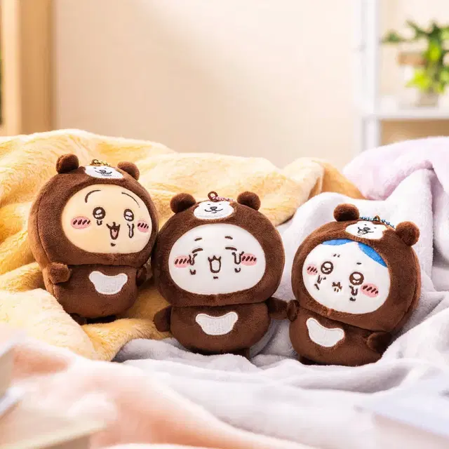 말레이곰 치이카와