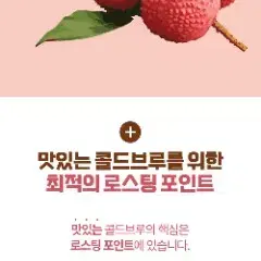 비소라 허니 리치 콜드브루 커피