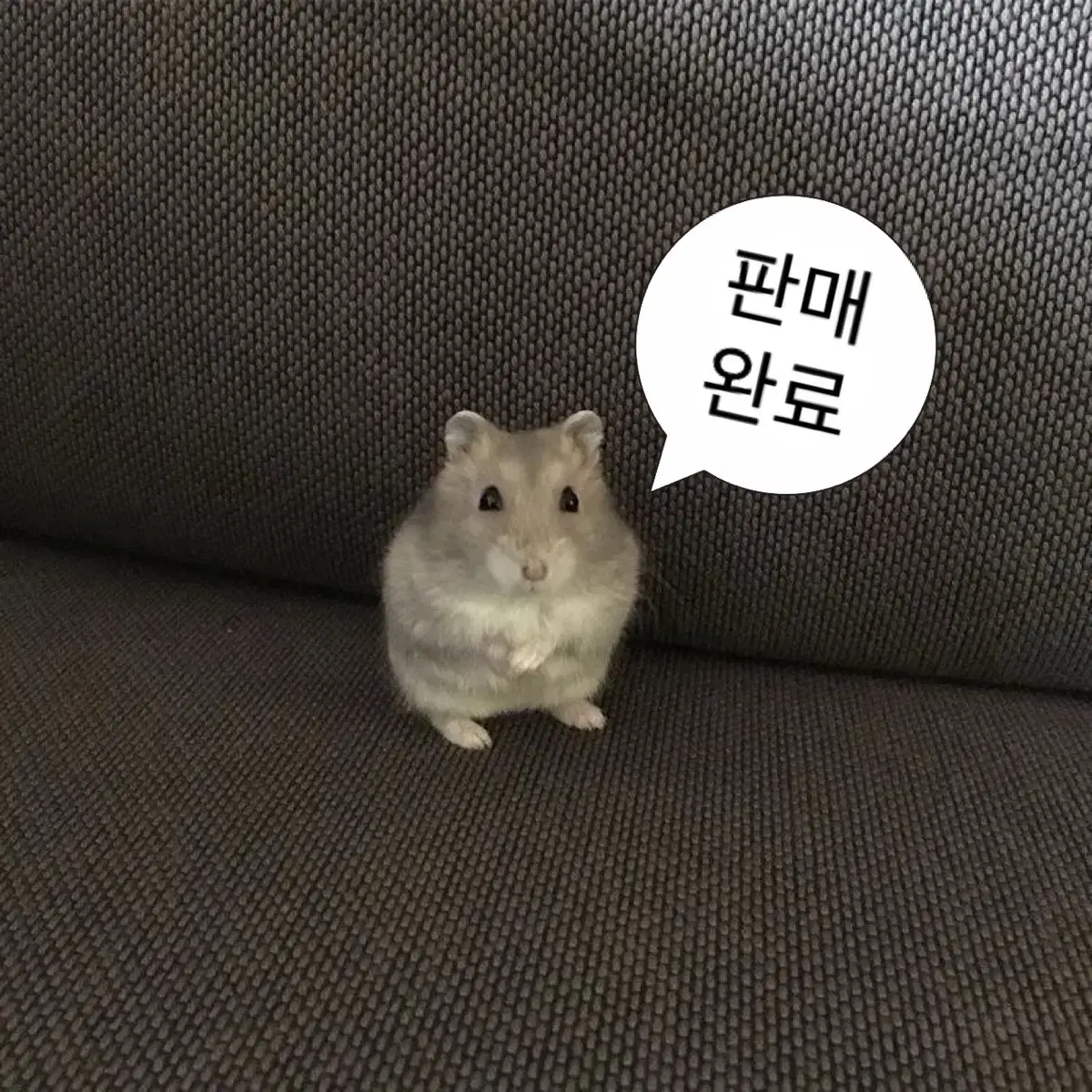 판매 완료