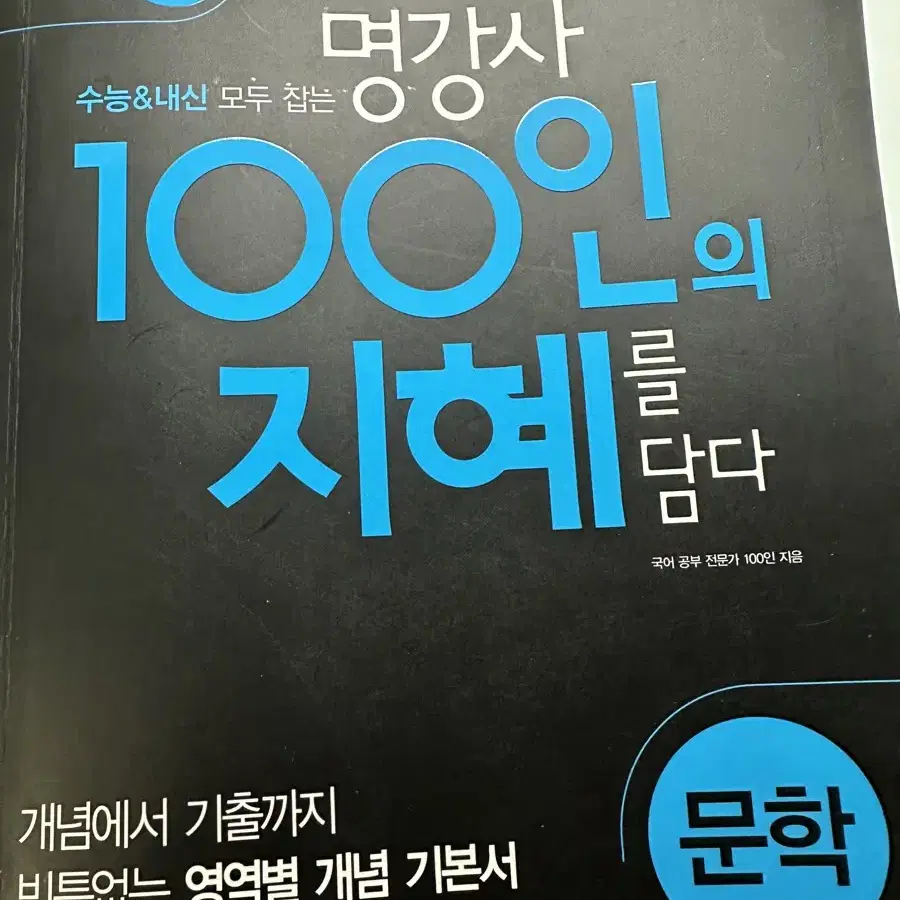 100인의 지혜 문제집 국어 문학