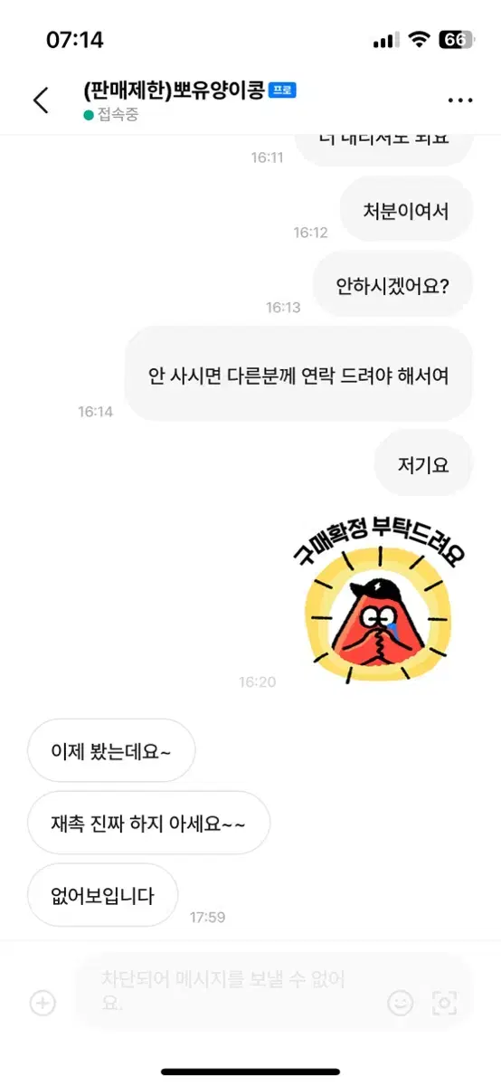 뽀유양이콩 박제