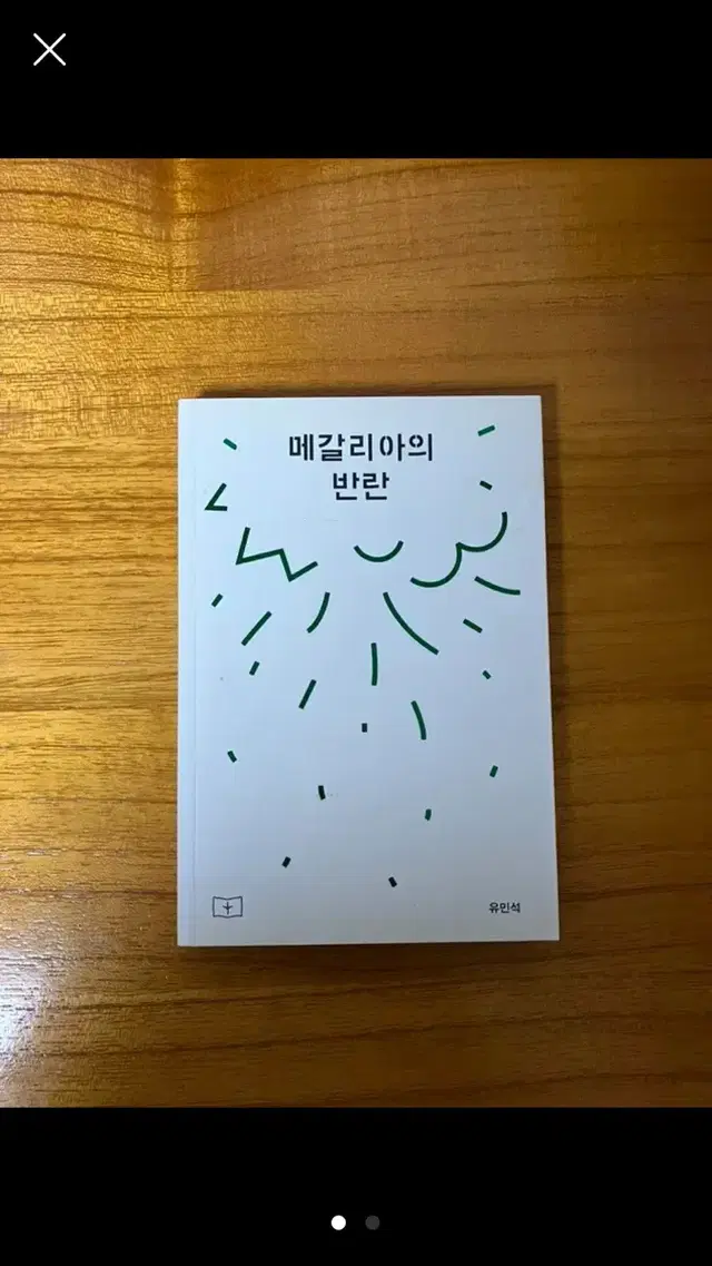 메갈리아의반란