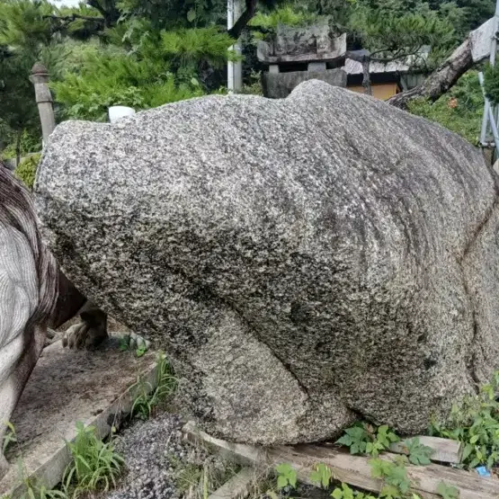 곰바위 팝니다