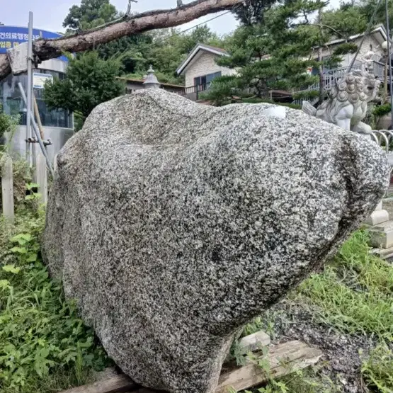 곰바위 팝니다