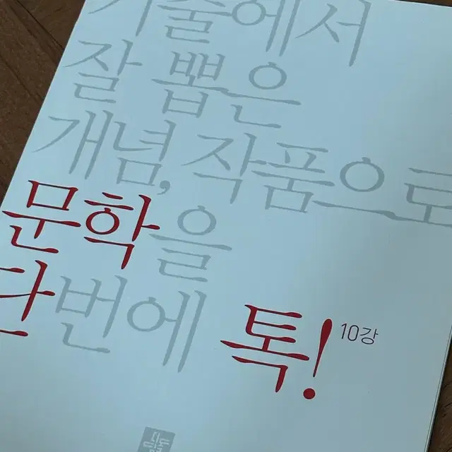 단톡 국어영역 문학