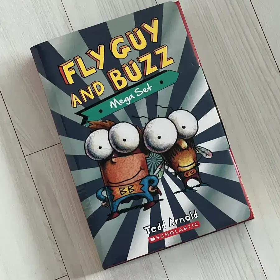 Fly Guy and Buzz mega 15 books set 영어원서