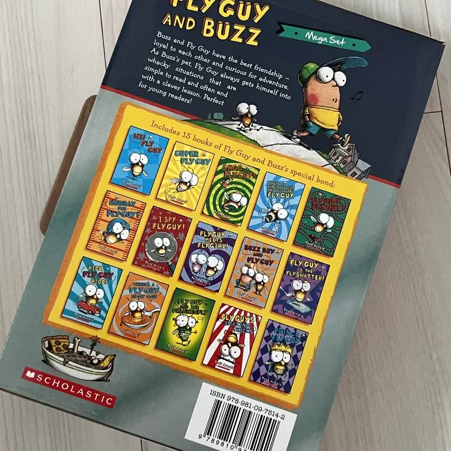 Fly Guy and Buzz mega 15 books set 영어원서