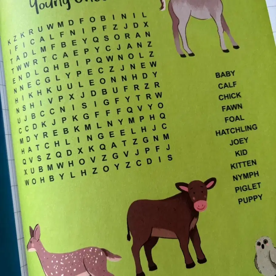 The Kid's Book Of Crosswords /Wordsearch