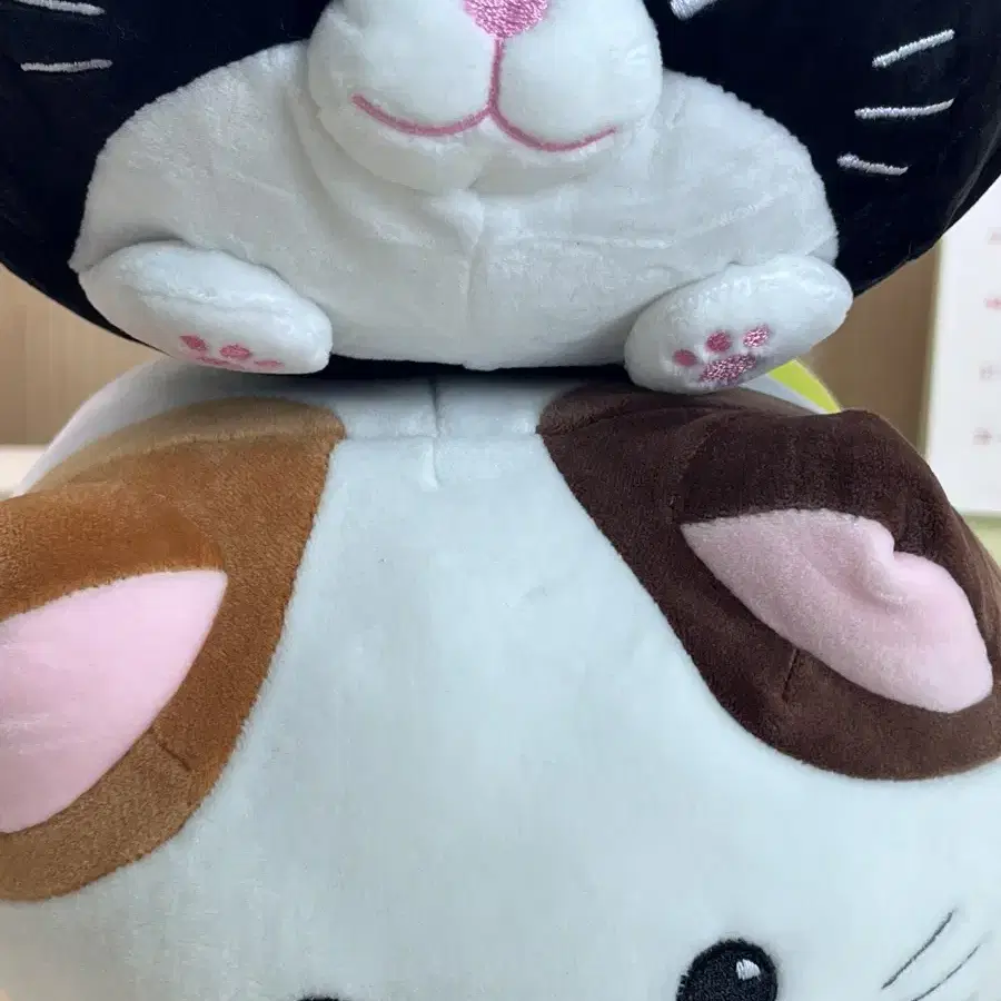 고양이 모찌 인형