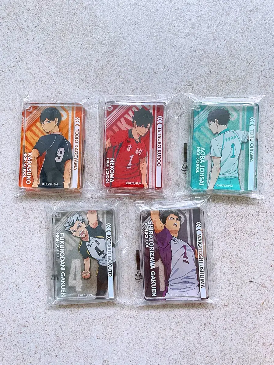 Haikyuu Korotta Kageyama Kuroo Oikawa Bokuto Ushijima Korotto Acrylic Block