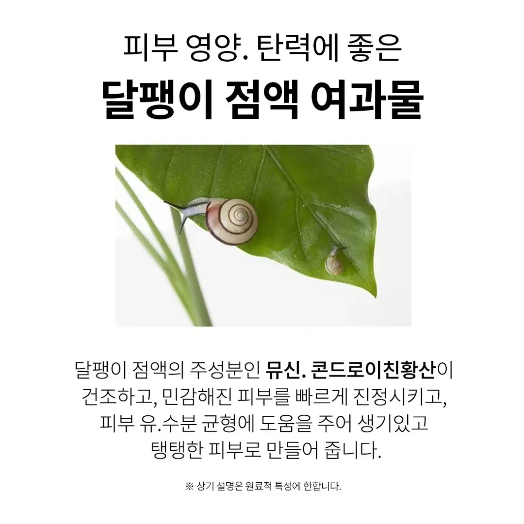 스킨와쳐스 그린스네일 인텐시브 링클앤화이트닝 에센스