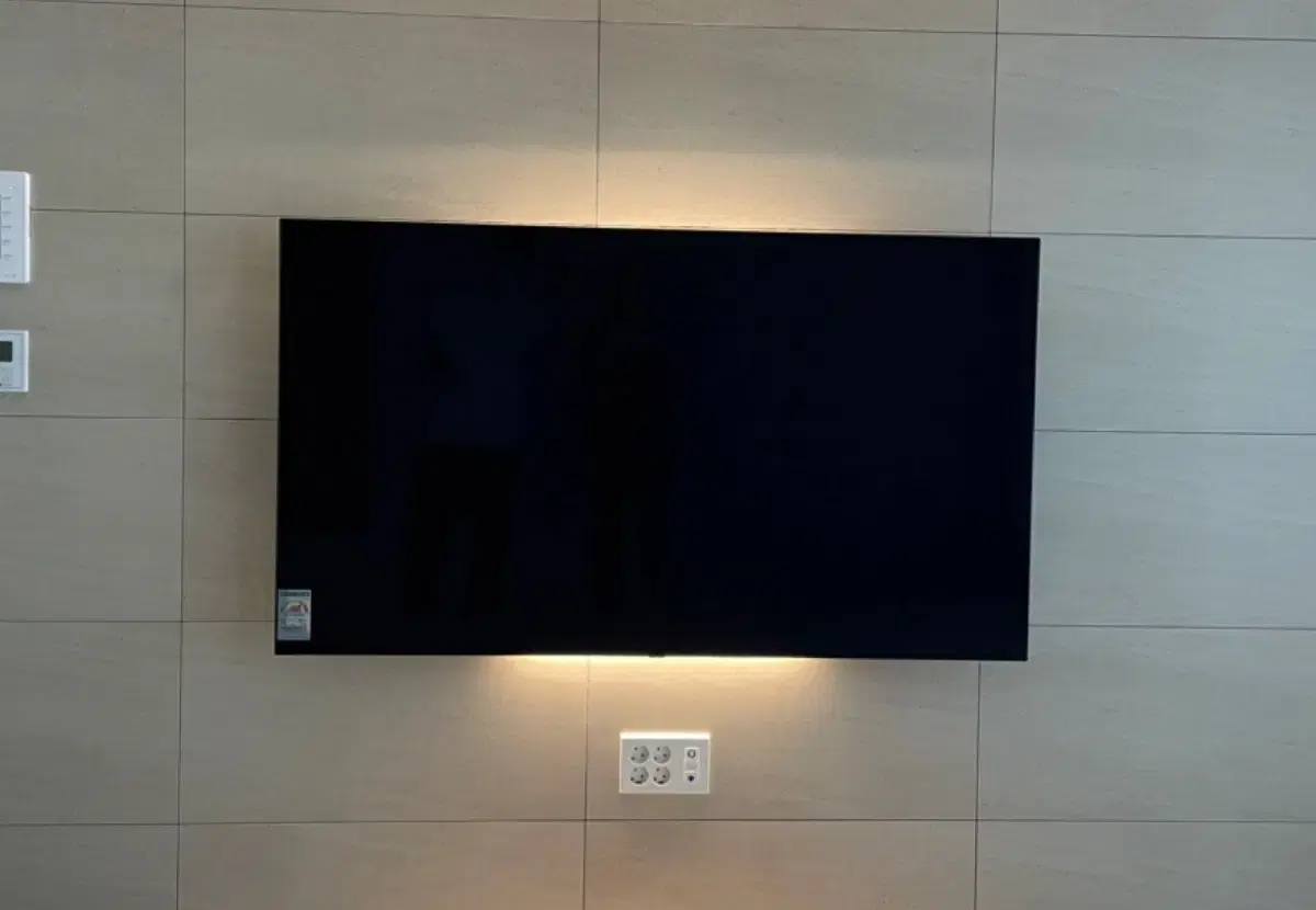 lg oled 65인치 tv (모델명oled65a1mna)