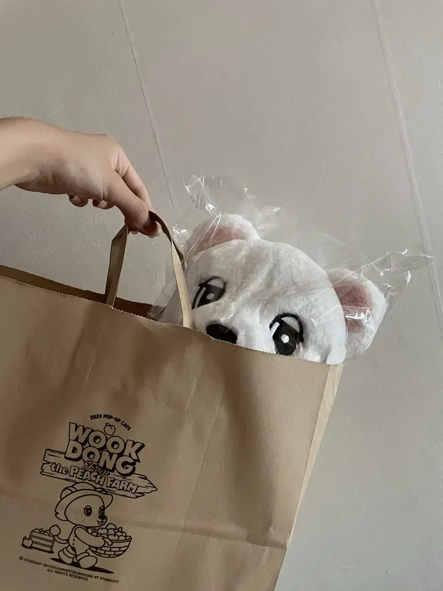 Baro ShippingLee Dongwook Wookdong Doll Set: Big Wookdong Plush Doll + 1 Photocard + Shopping Bag