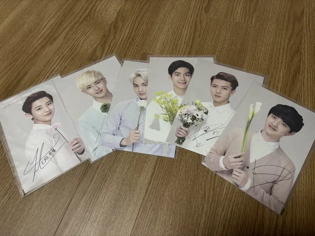 Exo NaturePublic Postcard