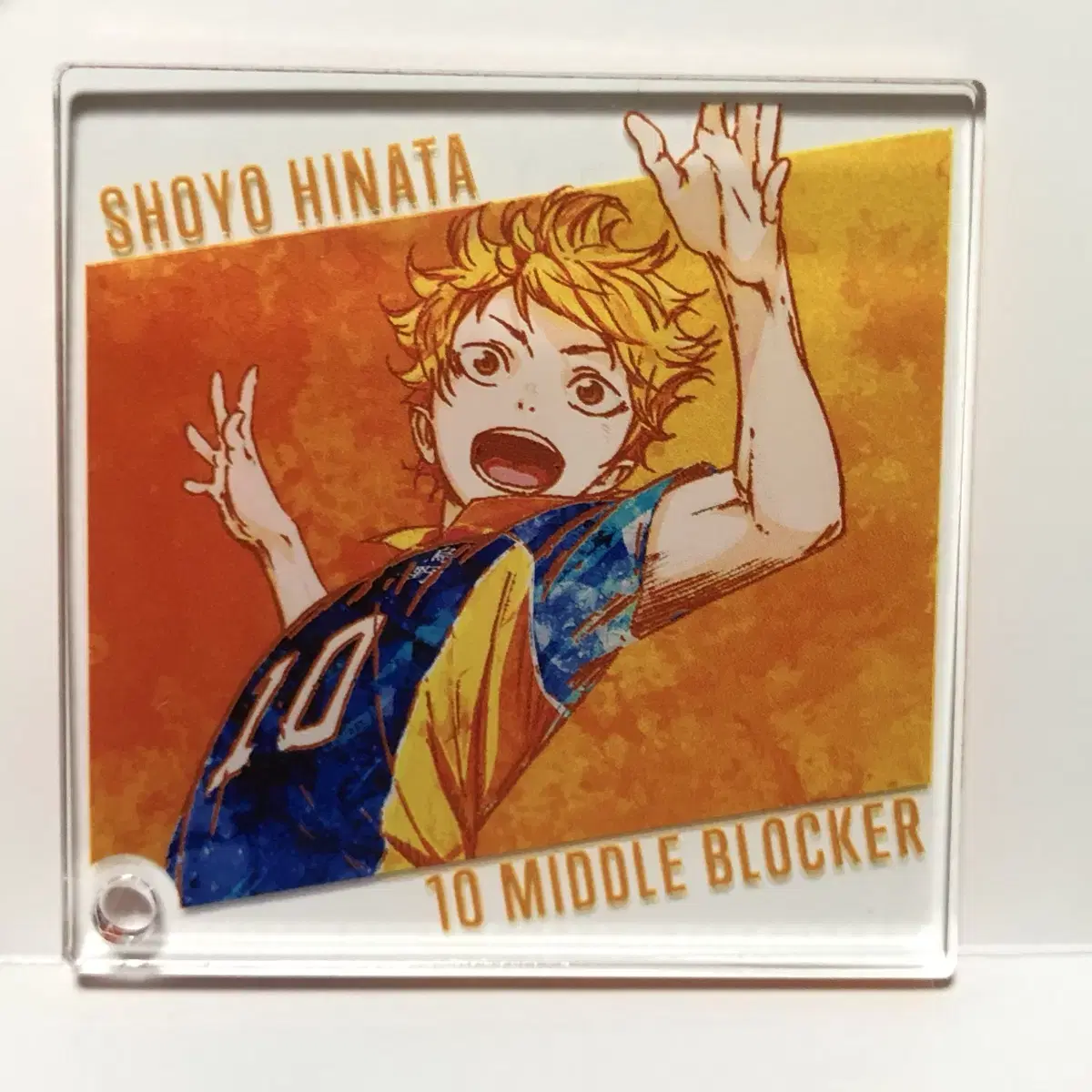 Haikyuu hinata aniate acrylic