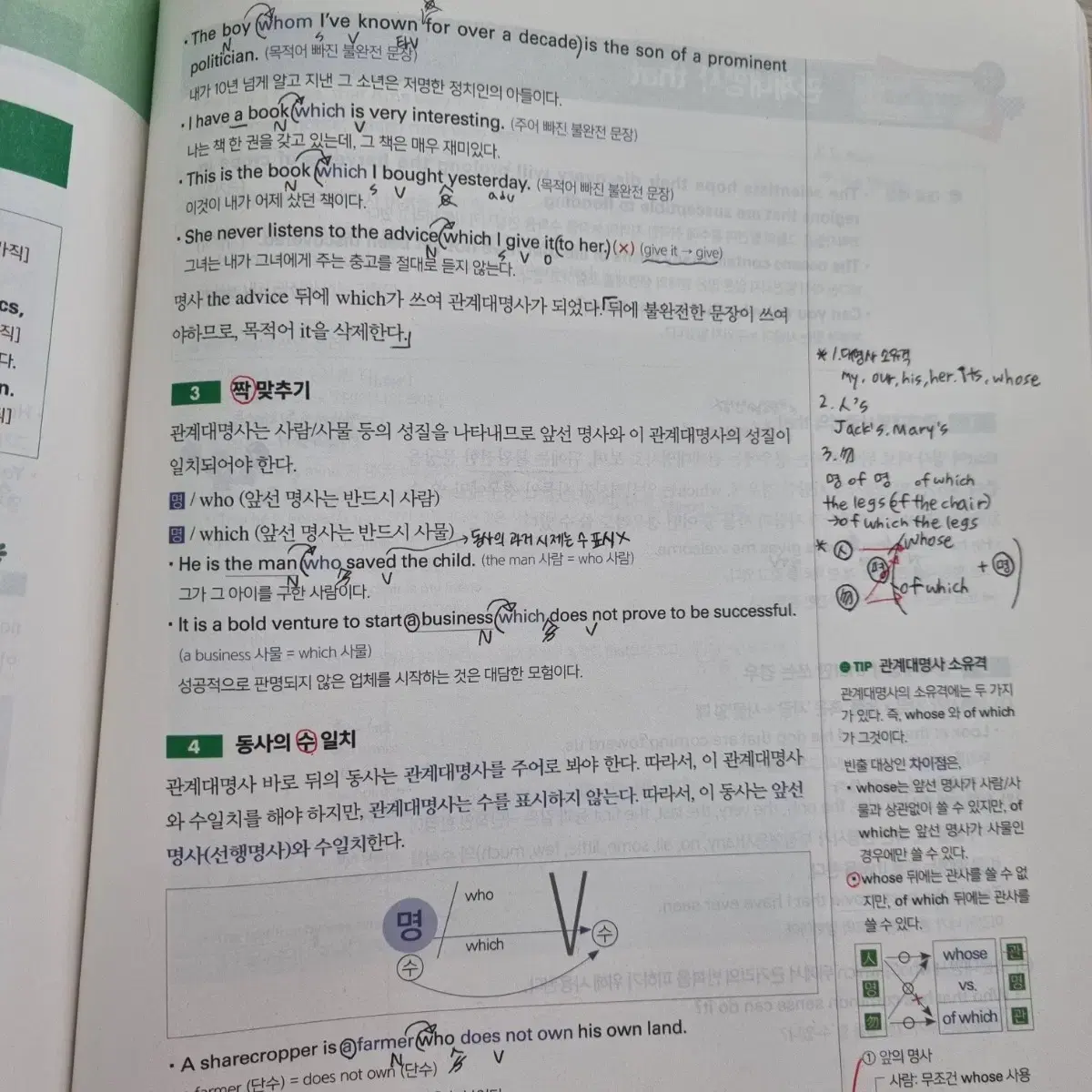 2024 조태정 기심론 문법