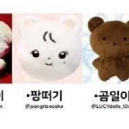 루시 광일 인형 곰팡이 팡일이 꽝멍이 팡떠기 곰일이 팡돌이 꽝도리 엽톨이