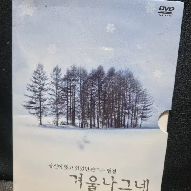 (dvd)겨울나그네