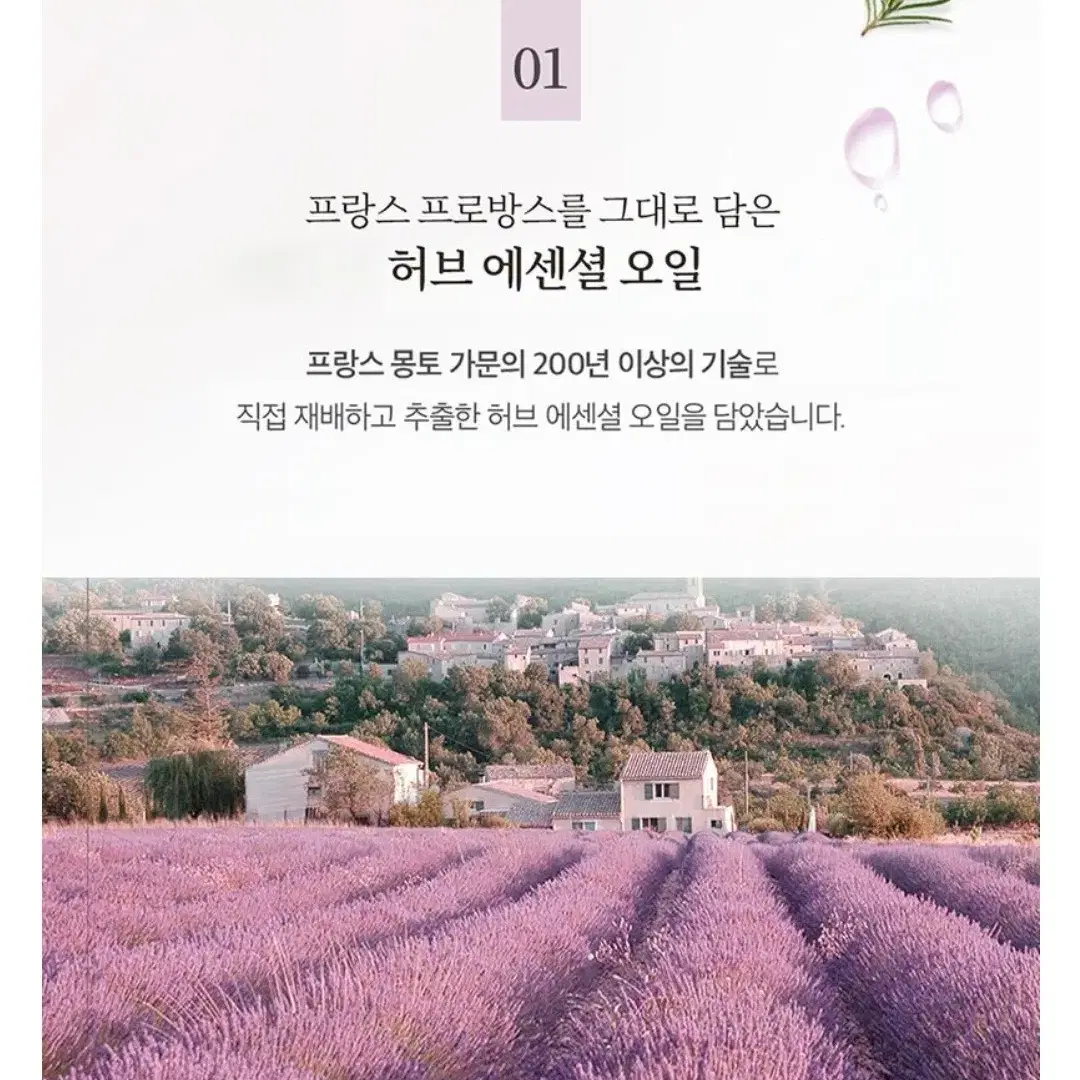 르샤트라드라이시트 건조기용40매X4개 총160매 향선택 10900원