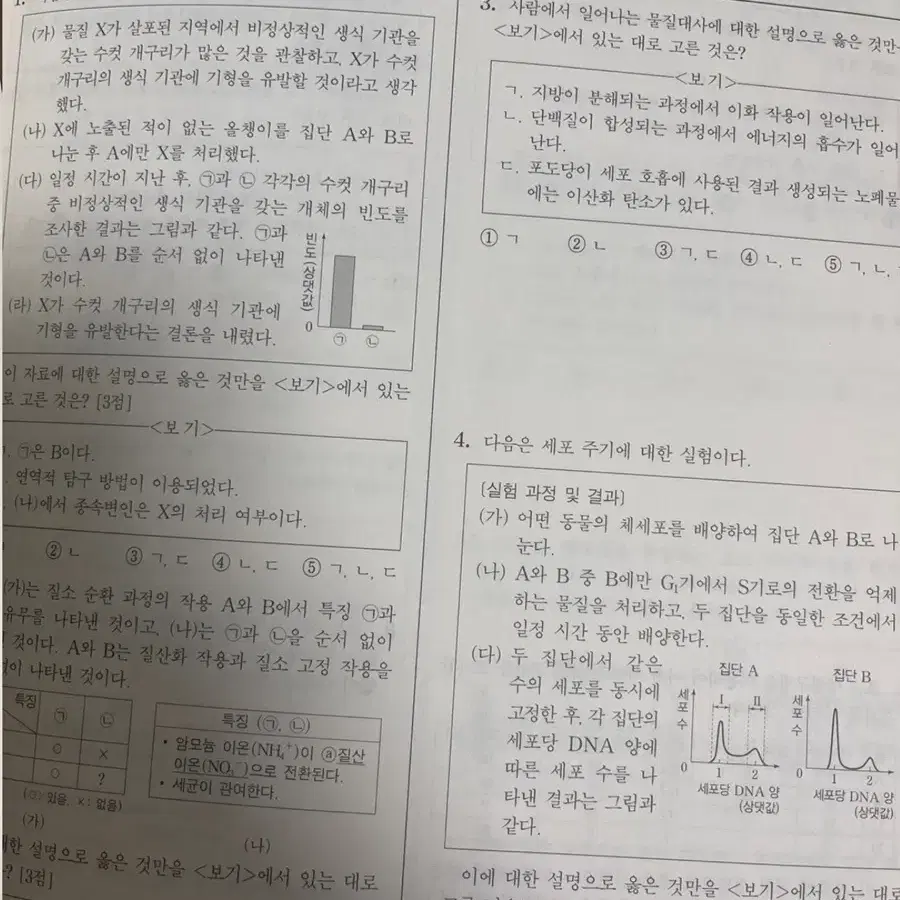 백호 개념형 모의고사