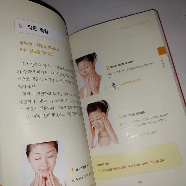 경락 림프 마사지 핸드북 한의학 건강 도서 책