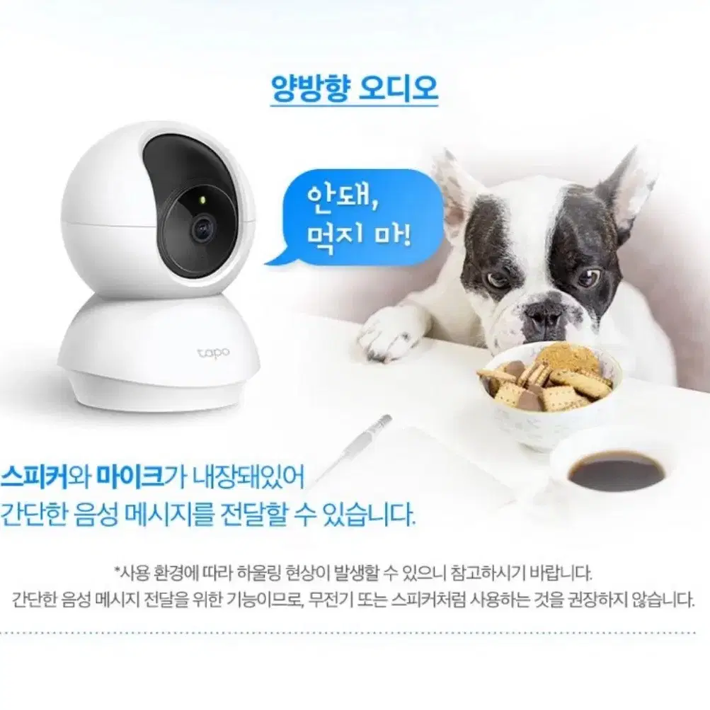 펫cctv