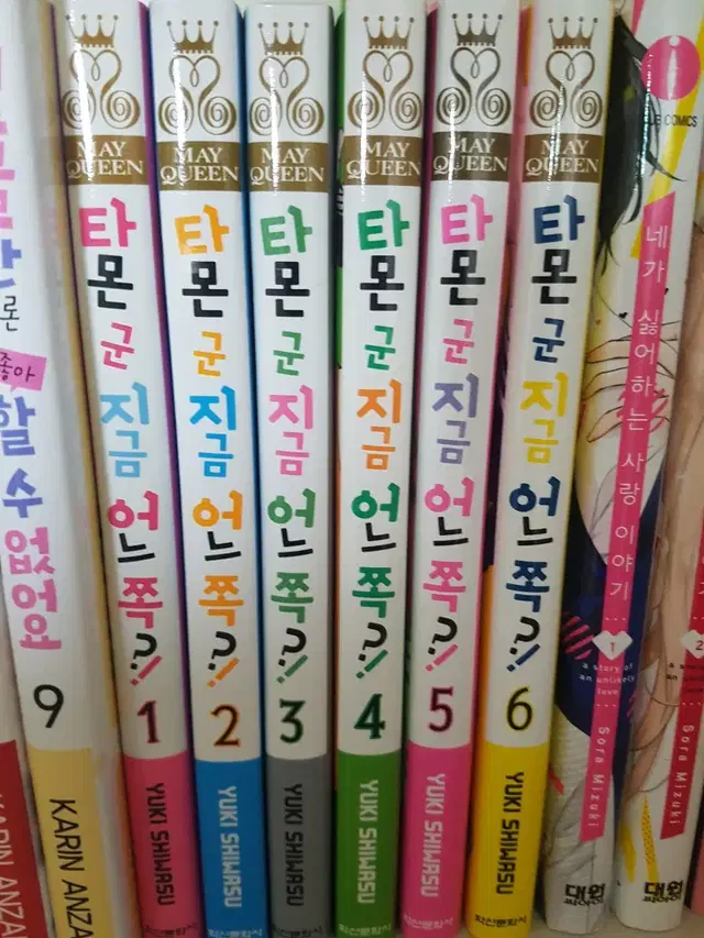 타몬군은 지금 어느쪽 전권