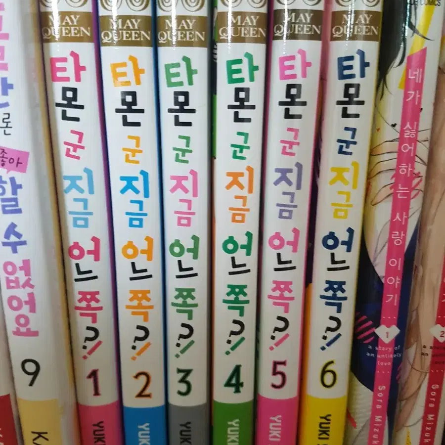 타몬군은 지금 어느쪽