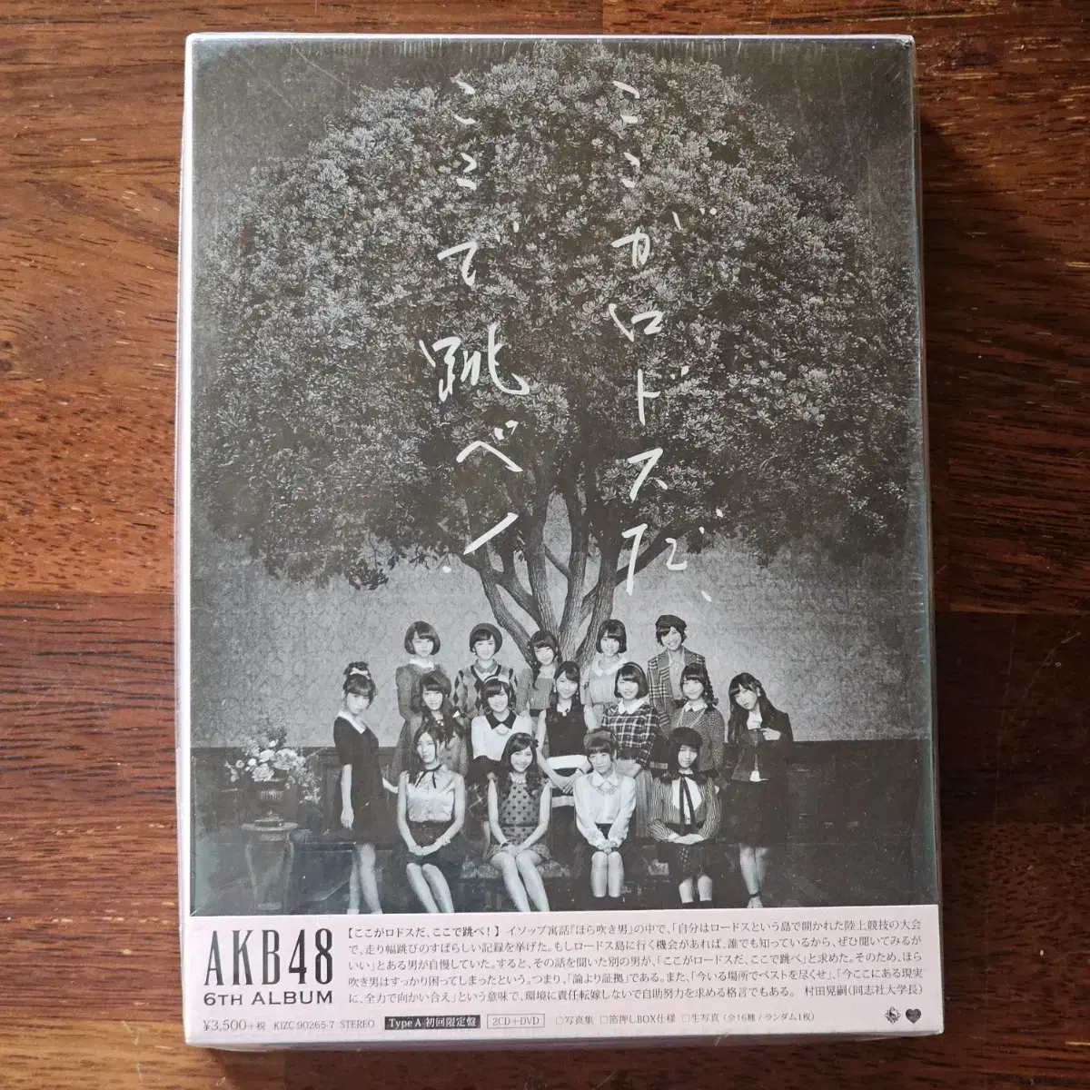 AKB48 A타입 초회한정 필름사진 일본 걸그룹 2CD DVD 미개봉