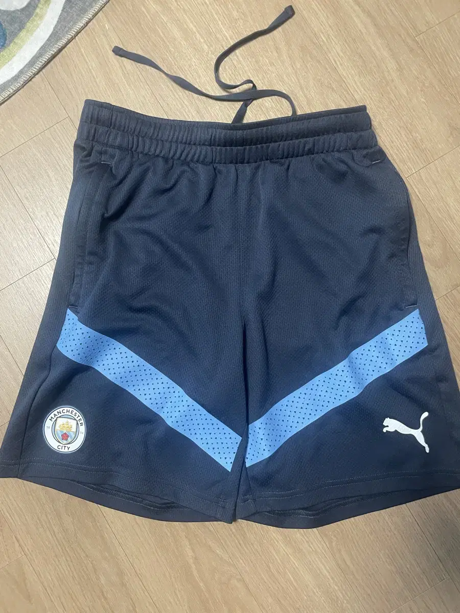 Puma Genuine Man City Training Pants