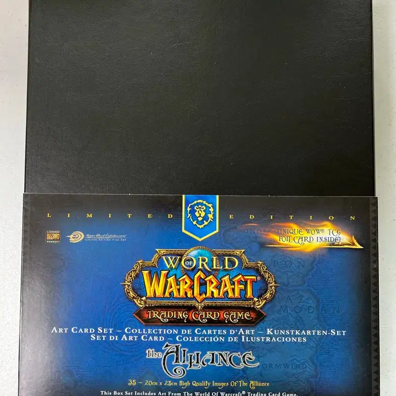 WOW 월드오브워크래프트 TCG 얼라이언스 아트 카드 세트 한정판