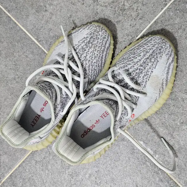 Addias Yeezy boost 350 v2 blue tint