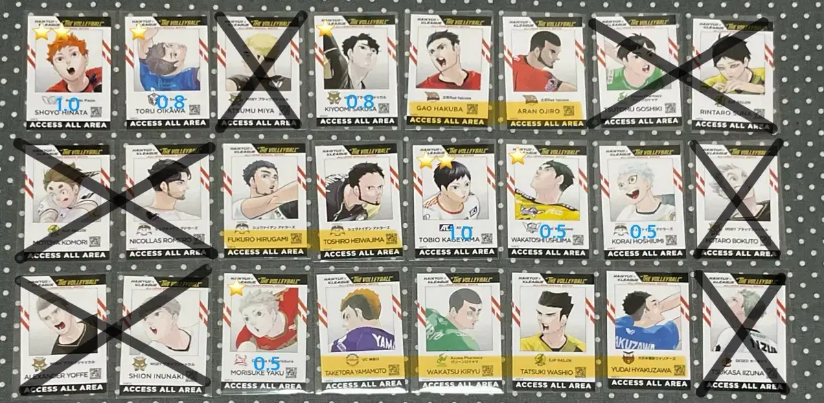 Haikyuu V-League ID Card