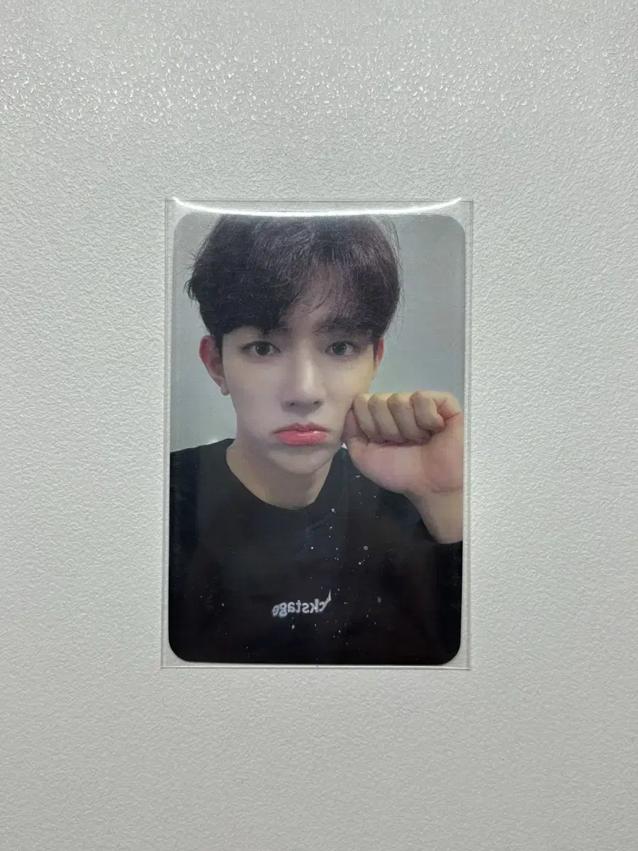 Zhang Hao apple music catson unreleased photocard wts zb1 zerobaseone